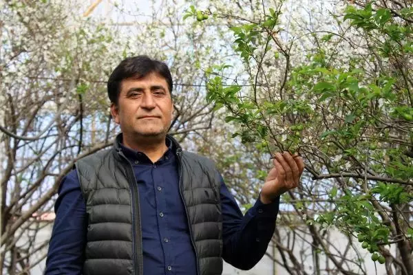 Antalya'nın can eriği tadımlık Antalya'nın can eriği tadımlık