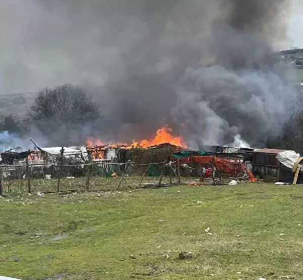 arnavutkoy de ahirda cikan yanginda 7 koyun oldu haberler