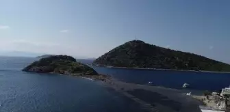 Bodrum'da deniz çekildi, kral yolu gün yüzüne çıktı