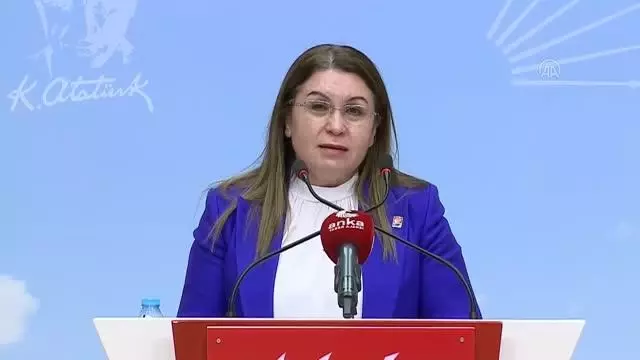 CHP'li Gülizar Biçer Karaca, İnsan Hakları Eylem Planı'nı değerlendirdi CHP'li Gülizar Biçer Karaca, İnsan Hakları Eylem Planı'nı değerlendirdi