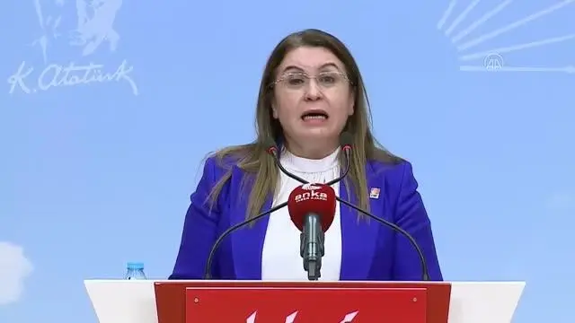 CHP'li Gülizar Biçer Karaca, İnsan Hakları Eylem Planı'nı değerlendirdi CHP'li Gülizar Biçer Karaca, İnsan Hakları Eylem Planı'nı değerlendirdi