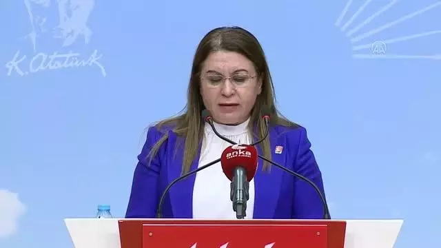 CHP'li Gülizar Biçer Karaca, İnsan Hakları Eylem Planı'nı değerlendirdi CHP'li Gülizar Biçer Karaca, İnsan Hakları Eylem Planı'nı değerlendirdi