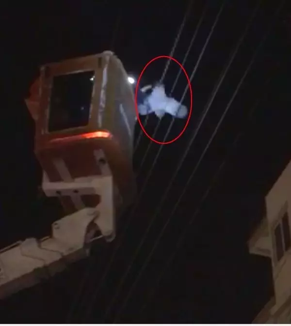 Elektrik teline takılan tavuk, kurtarıldı Elektrik teline takılan tavuk, kurtarıldı