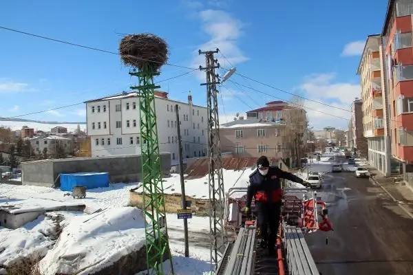 İtfaiye, karlı ve soğuk havada leylek yuvasına yiyecek bıraktı İtfaiye, karlı ve soğuk havada leylek yuvasına yiyecek bıraktı