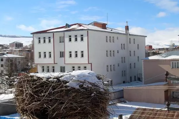 İtfaiye, karlı ve soğuk havada leylek yuvasına yiyecek bıraktı İtfaiye, karlı ve soğuk havada leylek yuvasına yiyecek bıraktı