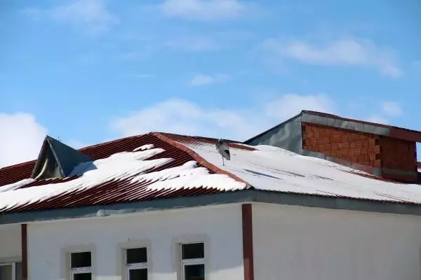 İtfaiye, karlı ve soğuk havada leylek yuvasına yiyecek bıraktı İtfaiye, karlı ve soğuk havada leylek yuvasına yiyecek bıraktı