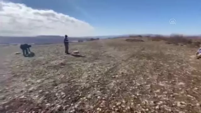 Jandarma yaban hayatı için doğaya yem bıraktı Jandarma yaban hayatı için doğaya yem bıraktı