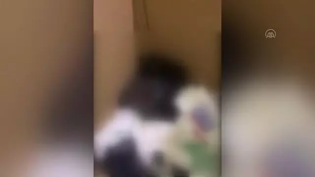 Son dakika haberi! Kaçak sigara ve makaron operasyonunda 2 şüpheli yakalandı Son dakika haberi! Kaçak sigara ve makaron operasyonunda 2 şüpheli yakalandı