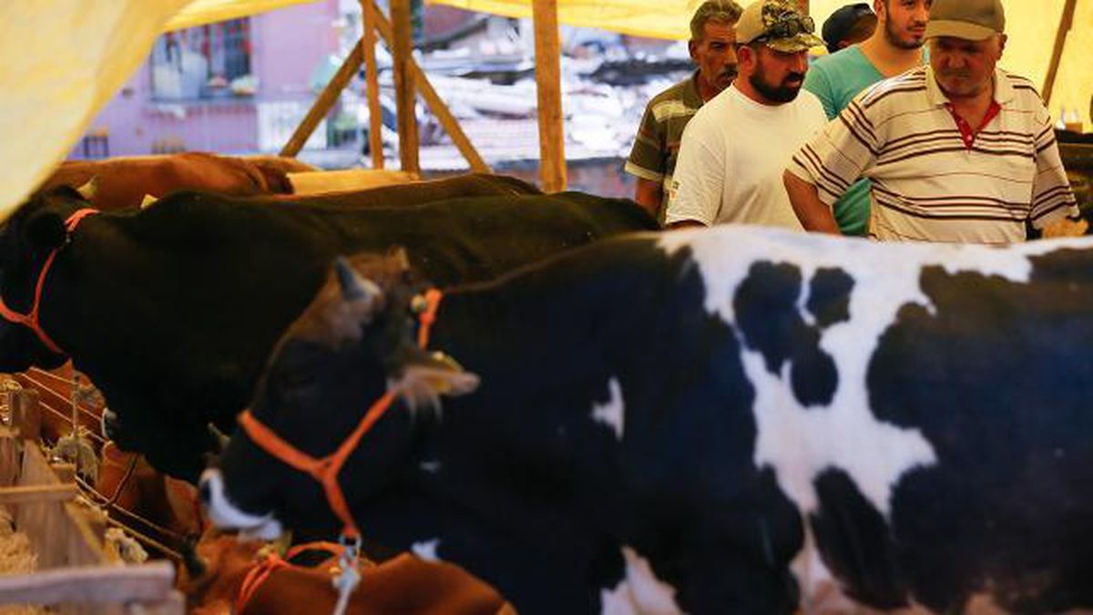 Kurban Bayramı 2021 ne zaman? Kurban Bayramı hangi güne denk geliyor?