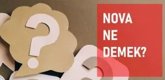 nova ne demek tdk ya gore nova anlami nedir haberler