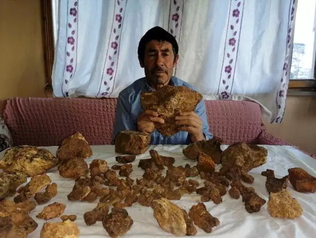 Tarlasında bulduğu taşın 'göktaşı' olduğunu öğrenince hemen satışa çıkardı Tarlasında bulduğu taşın 'göktaşı' olduğunu öğrenince hemen satışa çıkardı