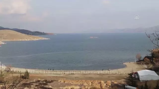 TOKİ inşaatlarının atık malzemeleri sokak hayvanları için sıcak yuvaya dönüşüyor TOKİ inşaatlarının atık malzemeleri sokak hayvanları için sıcak yuvaya dönüşüyor