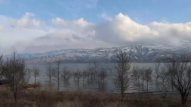 TOKİ inşaatlarının atık malzemeleri sokak hayvanları için sıcak yuvaya dönüşüyor TOKİ inşaatlarının atık malzemeleri sokak hayvanları için sıcak yuvaya dönüşüyor