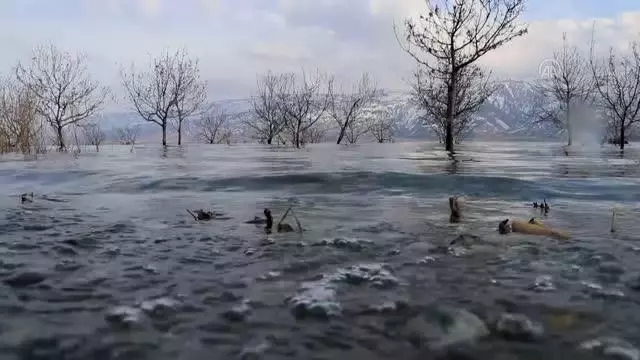 TOKİ inşaatlarının atık malzemeleri sokak hayvanları için sıcak yuvaya dönüşüyor TOKİ inşaatlarının atık malzemeleri sokak hayvanları için sıcak yuvaya dönüşüyor