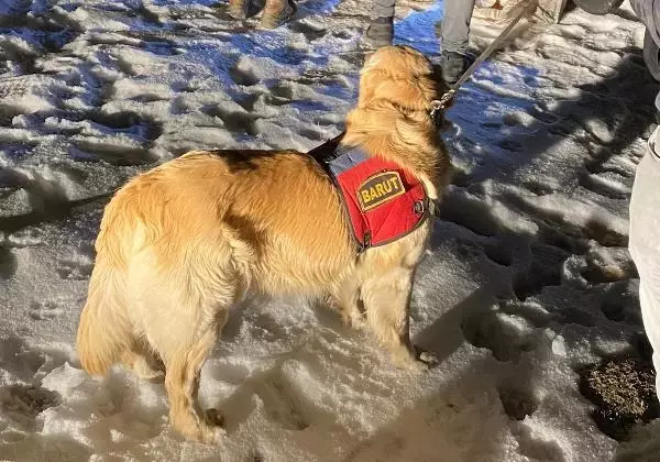 Van'da, çuvallarla toprağa gömülü 123 kilo eroini 'Barut' buldu Van'da, çuvallarla toprağa gömülü 123 kilo eroini 'Barut' buldu