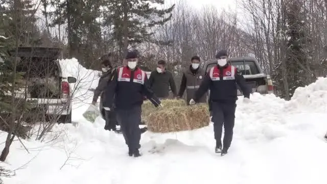 Yaban hayatı için doğaya yem bırakıldı Yaban hayatı için doğaya yem bırakıldı