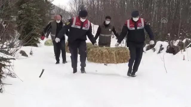 Yaban hayatı için doğaya yem bırakıldı Yaban hayatı için doğaya yem bırakıldı