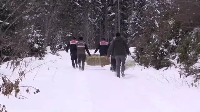 Yaban hayatı için doğaya yem bırakıldı Yaban hayatı için doğaya yem bırakıldı
