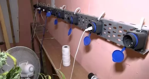Ataşehir'de serada uyuşturucu yetiştirilen eve baskın düzenlendi Ataşehir'de serada uyuşturucu yetiştirilen eve baskın düzenlendi