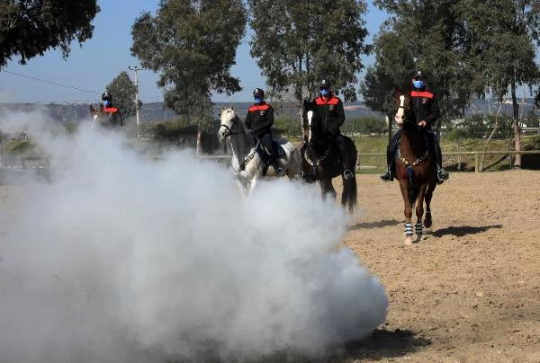 Son dakika haberleri | Atlara dumanlı, davullu eğitim