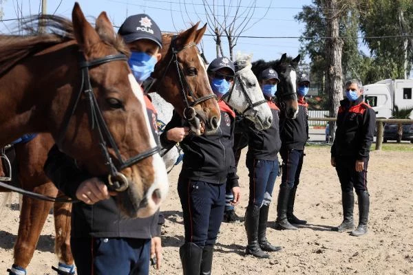 Son dakika haberleri | Atlara dumanlı, davullu eğitim