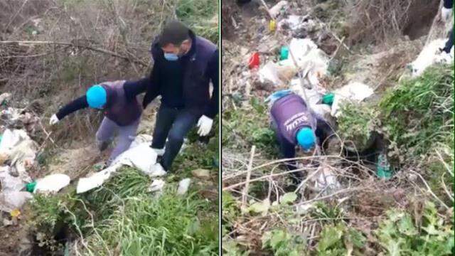 Ayaklarından bağlayıp çuvala koydukları köpeği ölüme terk ettiler