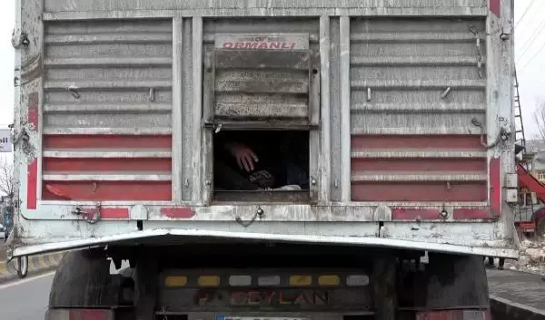 Balık istifi 114 kaçak göçmen taşınan TIR'ın sürücüsü sorguda Balık istifi 114 kaçak göçmen taşınan TIR'ın sürücüsü sorguda
