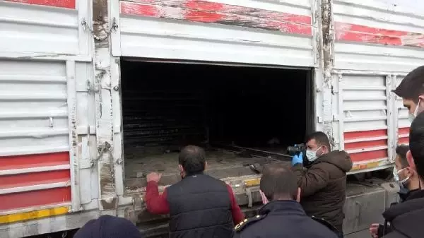 Balık istifi 114 kaçak göçmen taşınan TIR'ın sürücüsü sorguda Balık istifi 114 kaçak göçmen taşınan TIR'ın sürücüsü sorguda