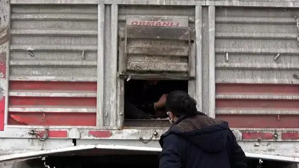 Balık istifi 114 kaçak göçmen taşınan TIR'ın sürücüsü sorguda Balık istifi 114 kaçak göçmen taşınan TIR'ın sürücüsü sorguda