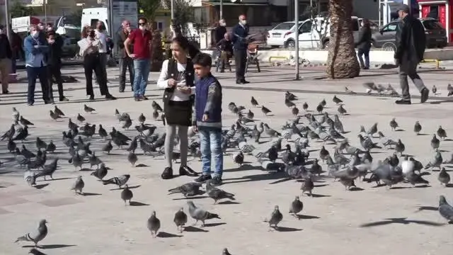 BALIKESİR - 'Göç Mevsimi' filminin çekimlerine Altınoluk'ta başlandı BALIKESİR - 'Göç Mevsimi' filminin çekimlerine Altınoluk'ta başlandı