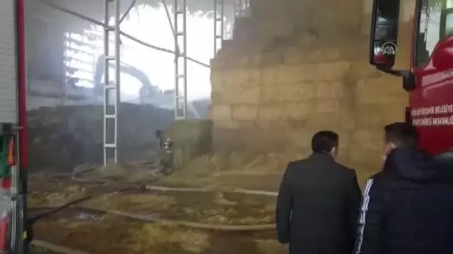 Bergama'da besi çiftliğinin deposunda çıkan yangın söndürüldü Bergama'da besi çiftliğinin deposunda çıkan yangın söndürüldü