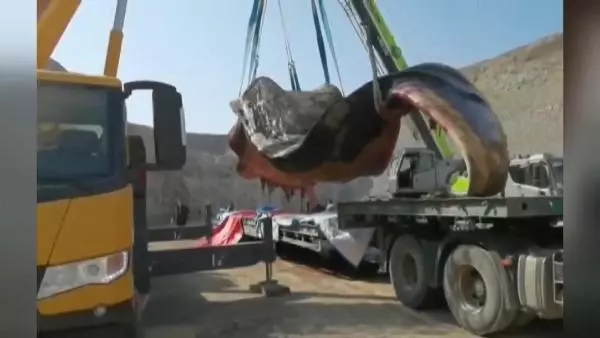 Son dakika haber! Çin'de 18 metrelik ölü ispermeçet balinası kıyıya vurdu Son dakika haber! Çin'de 18 metrelik ölü ispermeçet balinası kıyıya vurdu