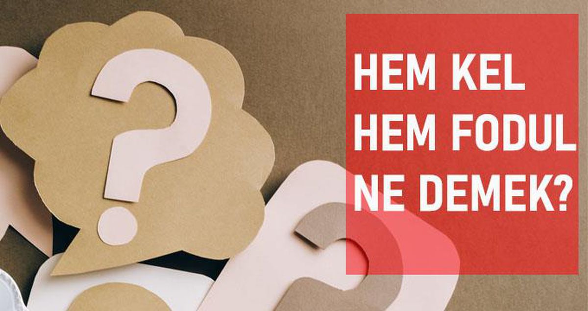 Hem kel hem fodul ne demek? Hem kel hem fodul anlamı ne?