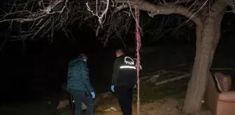 Son dakika haberleri | Husumetlisine pompalı tüfekle ateş açarken kendi eşini vurdu