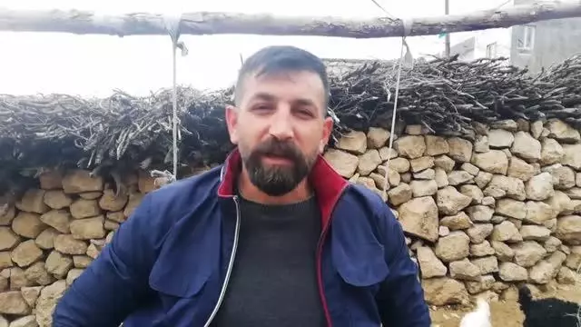 Kuzu ve oğlak doğumları üreticilerin yüzünü güldürüyor