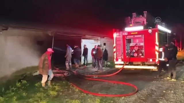 Tavuk çiftliğinde çıkan yangın söndürüldü Tavuk çiftliğinde çıkan yangın söndürüldü