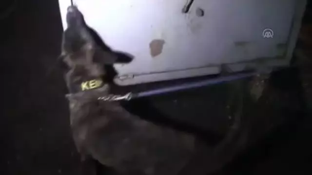 Tuzla'da durdurulan tırda 308 kilo 800 gram eroin ele geçirildi Tuzla'da durdurulan tırda 308 kilo 800 gram eroin ele geçirildi