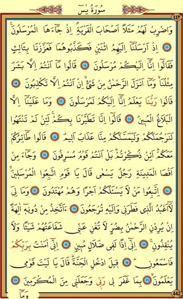 YASİN SURESİ OKU - Yasin Suresi Duası Arapça Oku - Yasin-i Şerif Türkçe Anlamı, Meali Ve Faziletleri (Diyanet Meali & Tefsiri) YASİN SURESİ OKU - Yasin Suresi Duası Arapça Oku - Yasin-i Şerif Türkçe Anlamı, Meali Ve Faziletleri (Diyanet Meali & Tefsiri)
