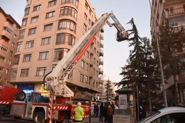 ESKİŞEHİR 15 metrelik ağaçta mahsur kalan kediyi itfaiye kurtardı ESKİŞEHİR 15 metrelik ağaçta mahsur kalan kediyi itfaiye kurtardı