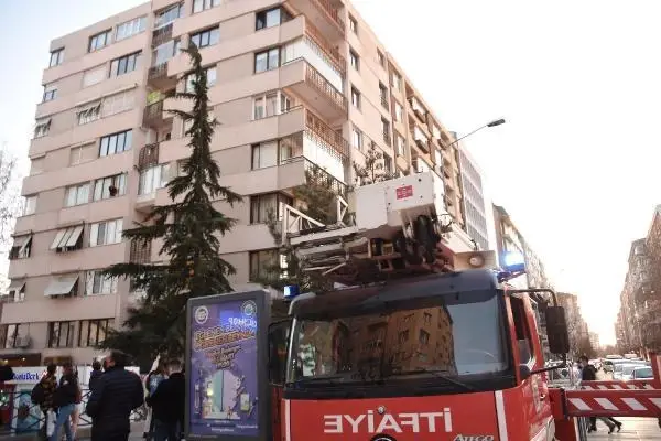 ESKİŞEHİR 15 metrelik ağaçta mahsur kalan kediyi itfaiye kurtardı ESKİŞEHİR 15 metrelik ağaçta mahsur kalan kediyi itfaiye kurtardı