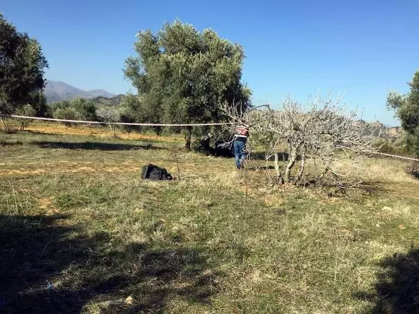 2 çocuk babası, zeytin bahçesinde kendisini astı
