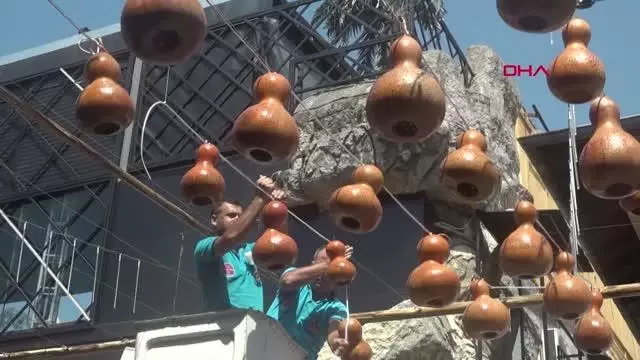 ANTALYA Engelli bireylerin ellerinden çıkan kabaklar, sokağı aydınlatıyor ANTALYA Engelli bireylerin ellerinden çıkan kabaklar, sokağı aydınlatıyor