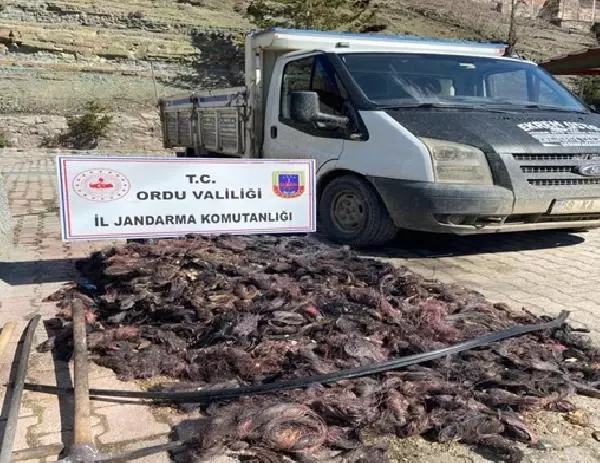 Enerji nakil kablosu hırsızlığına 3 tutuklama Enerji nakil kablosu hırsızlığına 3 tutuklama