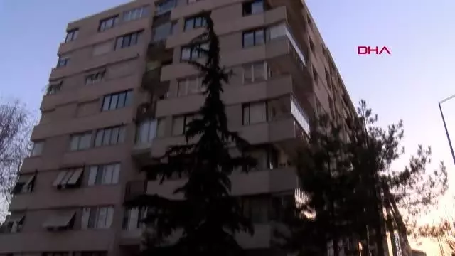 ESKİŞEHİR 15 metrelik ağaçta mahsur kalan kediyi itfaiye kurtardı ESKİŞEHİR 15 metrelik ağaçta mahsur kalan kediyi itfaiye kurtardı