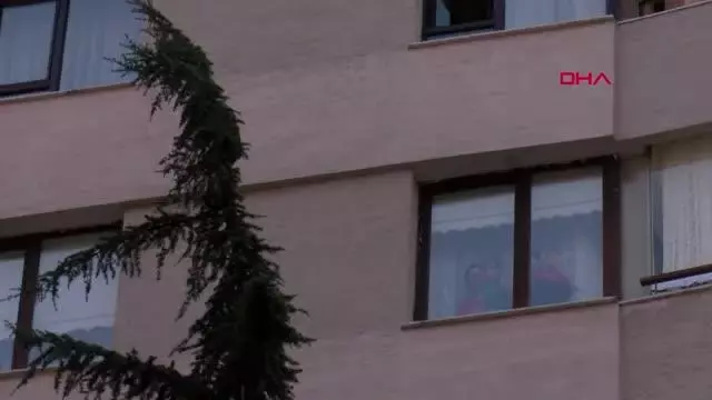 ESKİŞEHİR 15 metrelik ağaçta mahsur kalan kediyi itfaiye kurtardı ESKİŞEHİR 15 metrelik ağaçta mahsur kalan kediyi itfaiye kurtardı