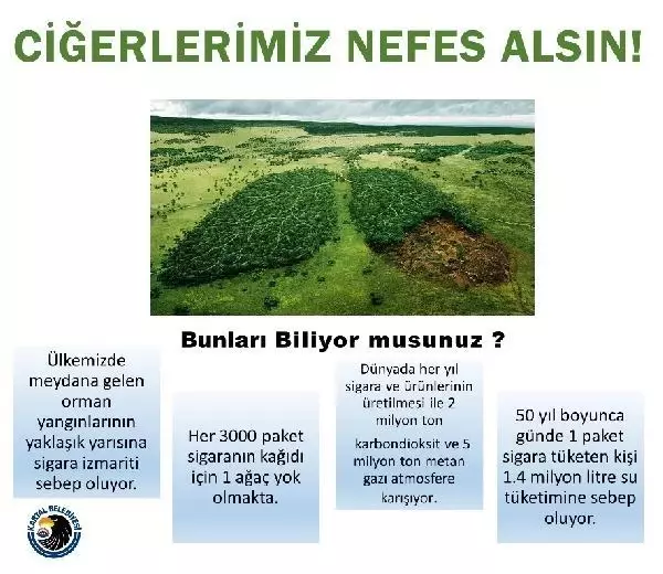 Kartal Belediyesi'nden 'Ciğerlerimiz Nefes Alsın' projesi Kartal Belediyesi'nden 'Ciğerlerimiz Nefes Alsın' projesi