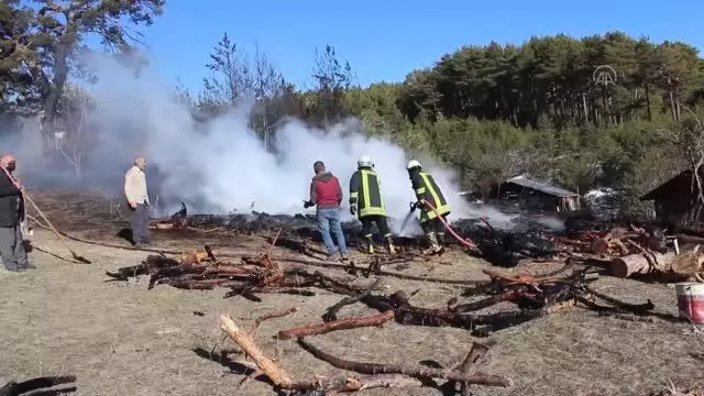 Son dakika: KASTAMONU - Yangında 15 dekar ormanlık alan zarar gördü, 60 arı kovanı yandı Son dakika: KASTAMONU - Yangında 15 dekar ormanlık alan zarar gördü, 60 arı kovanı yandı