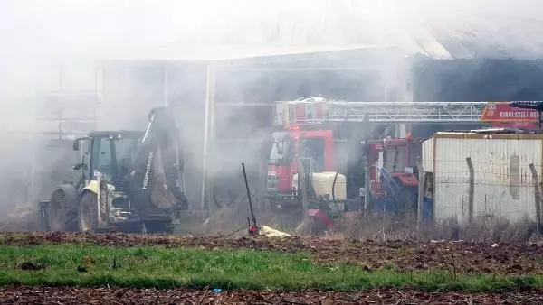 Son dakika haber | KIRKLARELİ Kırklareli'de yem deposunda çıkan yangında tonlarca saman ve yem küle döndü Son dakika haber | KIRKLARELİ Kırklareli'de yem deposunda çıkan yangında tonlarca saman ve yem küle döndü