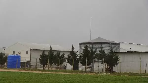 Son dakika haber | KIRKLARELİ Kırklareli'de yem deposunda çıkan yangında tonlarca saman ve yem küle döndü Son dakika haber | KIRKLARELİ Kırklareli'de yem deposunda çıkan yangında tonlarca saman ve yem küle döndü