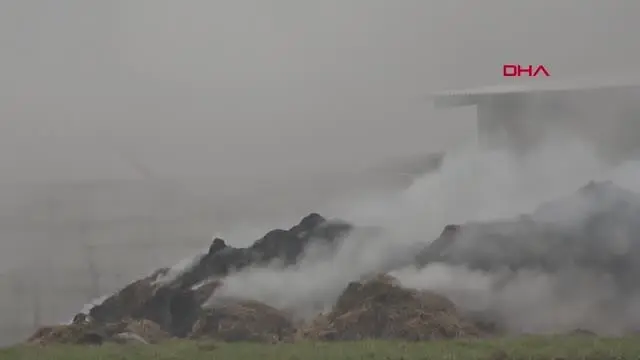 Son dakika haber | KIRKLARELİ Kırklareli'de yem deposunda çıkan yangında tonlarca saman ve yem küle döndü Son dakika haber | KIRKLARELİ Kırklareli'de yem deposunda çıkan yangında tonlarca saman ve yem küle döndü
